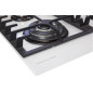 Zigmund & Shtain MN 197.61 W варочная поверхность