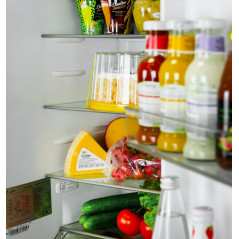 LEX RBI 250.21 DF холодильник