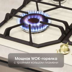 Zigmund & Shtain G 19.6 X варочная поверхность