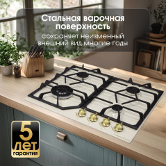 Zigmund & Shtain G 19.6 X варочная поверхность