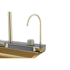 ARONA Кухонная мойка ARS 750.460 SET 9 GOLD DECOR