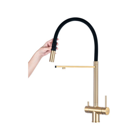 ARONA Кухонный смеситель ARM 309 GOLD