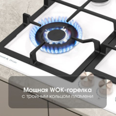 Zigmund & Shtain G 14.6 W варочная поверхность