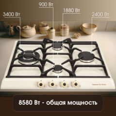 Zigmund & Shtain GN 208.61 X варочная поверхность