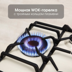 Zigmund & Shtain GN 208.61 X варочная поверхность