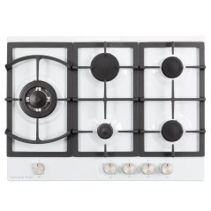 Zigmund & Shtain G 14.7 W варочная поверхность