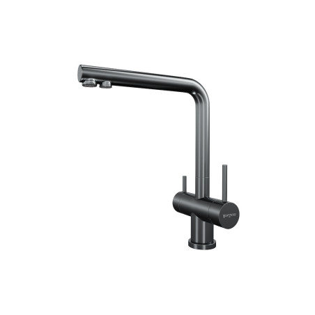 Кухонный смеситель TopZero TPZ 301 TITAN, PVD