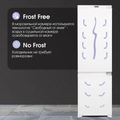 Zigmund & Shtain BR 08.1781 SX холодильник встраиваемый